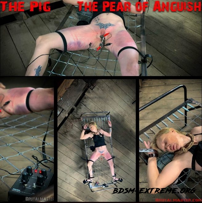 The Pig – The Pear Of Anguish (2019/FullHD) [Brutal Master]